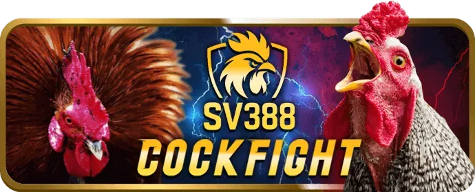 Cá cược thể thao arne win